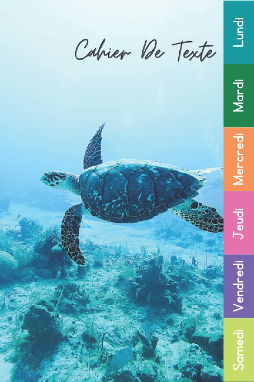Cahier De Texte: Tortue Océan Pour Garçon Et Fille CP, CE1, CE2, CM1, CM2 Pour Une Année Scolaire Réussie | 2021 2022 (French Edition)