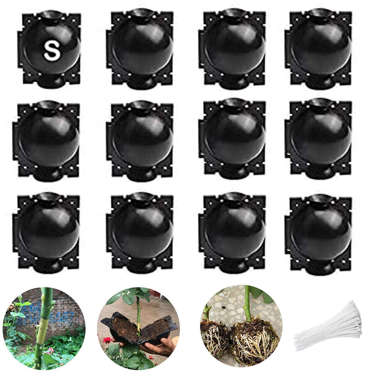 Plant Root Growing Box,Reusable Damage Free High-Pressure Propagation Ball Botany Rooting Grafting Device Controller Box for Plant Fast Propagation Air-Layering Pod (12PCS-S)