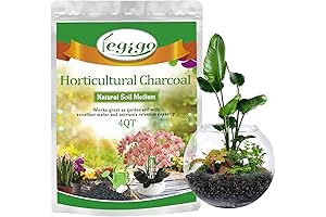 Legigo All Natural Activated Charcoal Terrarium