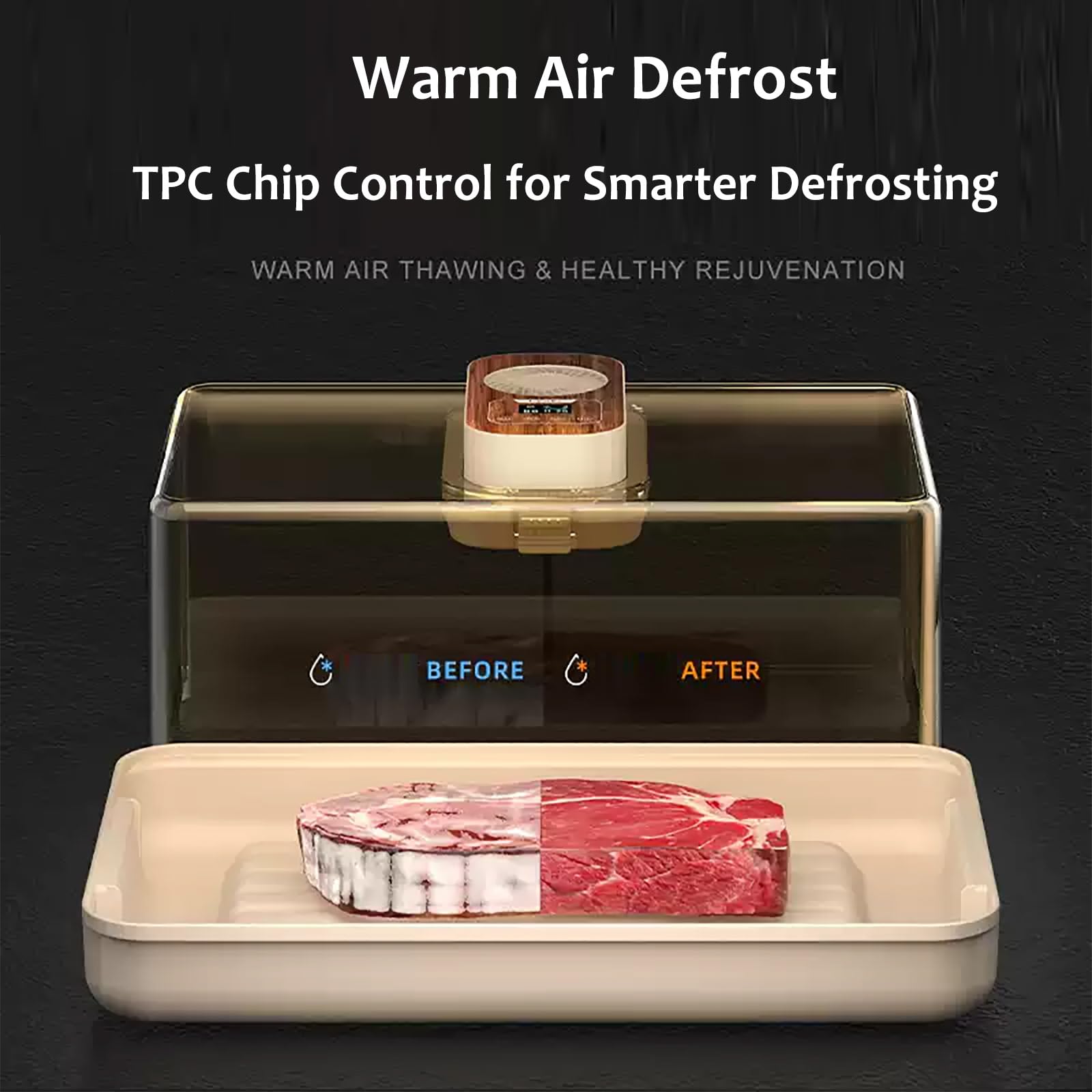 Scongelatore elettrico da 100 W per carne surgelata, grande capacità di 19 l, con timer, velocità della ventola e controllo della temperatura per bistecche, pollo e scongelamento dei frutti di mare