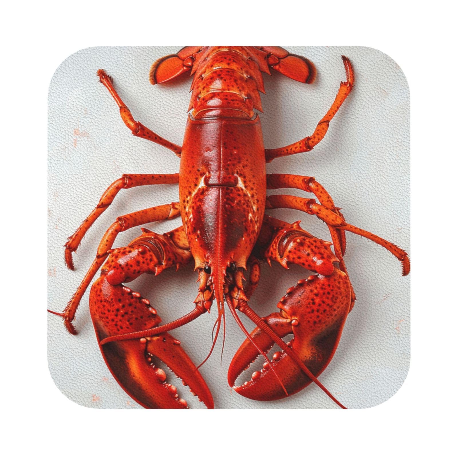 Lobster Print Leather Coaster Set of 6, Square Coasters Table Decorative Coffee Cup Beverage Coasters Wine Beer Bar Coasters for Hot Drinks Table Protection