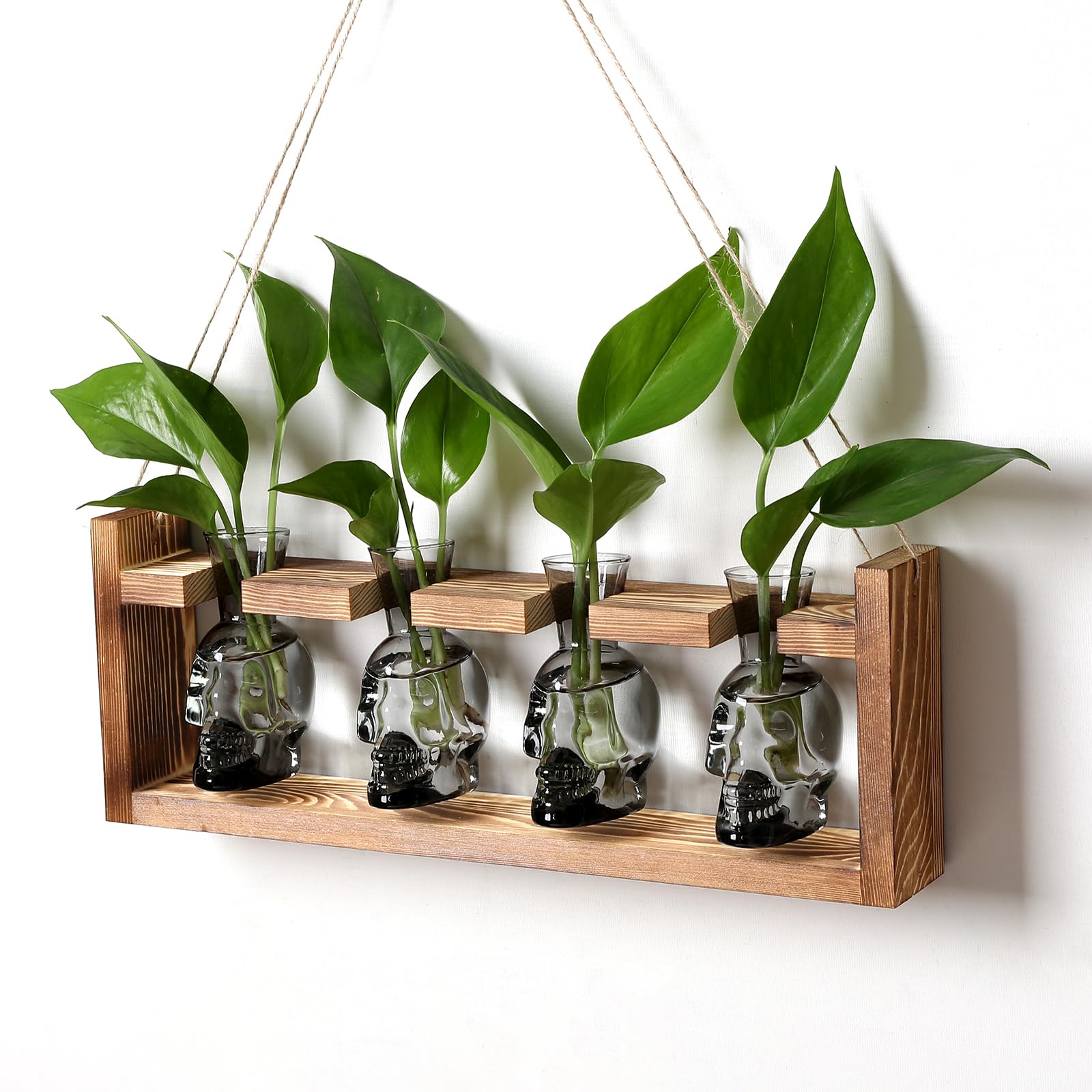 CYZglass Plant Propagation Stations Halloween Skull Plant Terrarium Kit Glass Vases Gift for Father Air Planter Home Office Decor