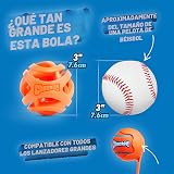 Ver la foto 5