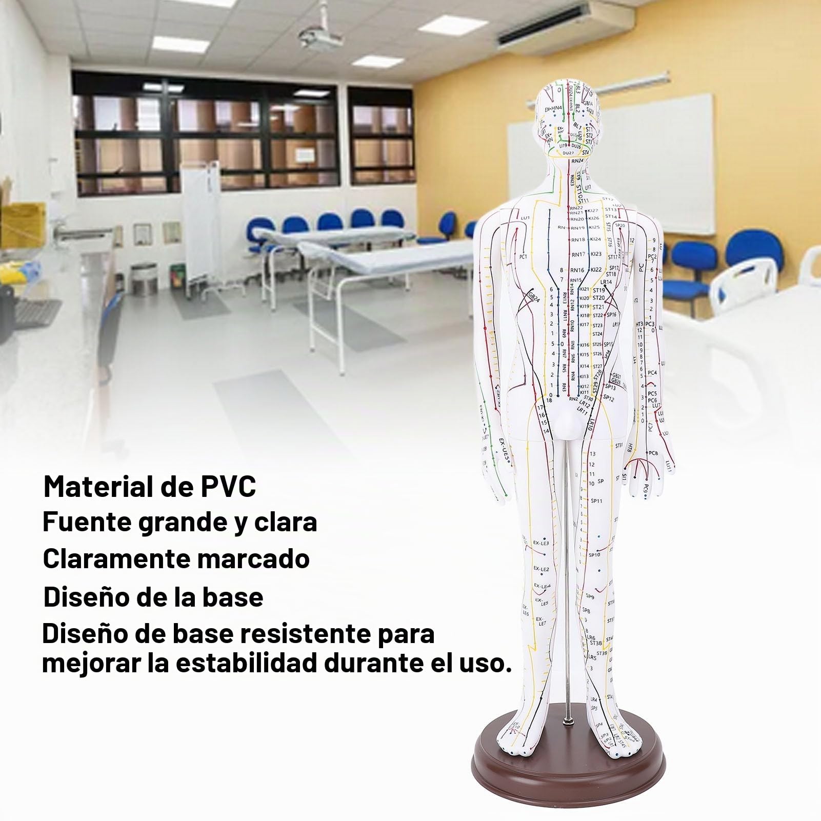 Modelo de Acupuntura, 20.47in PVC Cuerpo Humano Muñeca de Acupuntura Profesional Alta Definición Modelo de Acupunto Humano con Base para la Enseñanza de la Medicina China