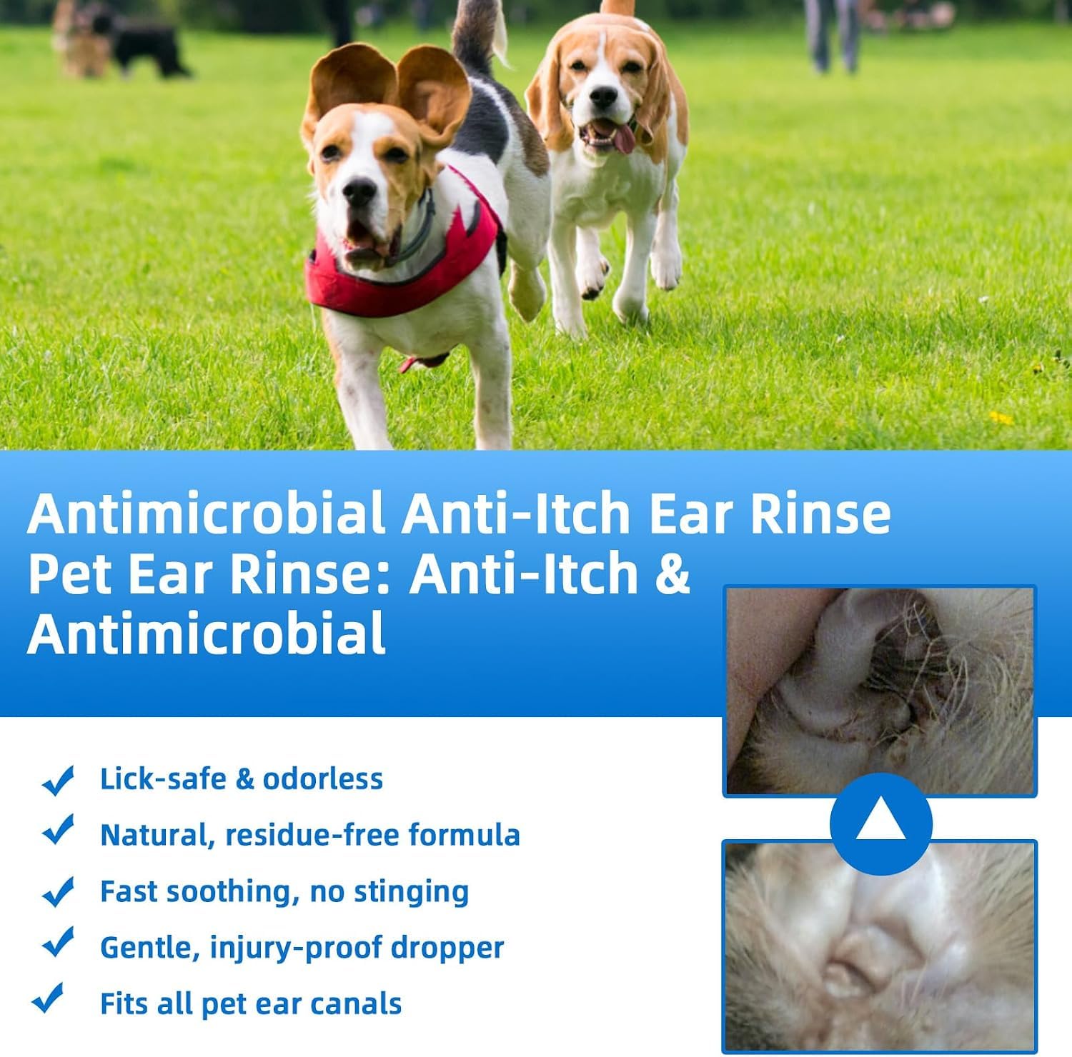 Générique Nettoyant Auriculaire pour Animaux, Nettoyant Oreille Chien,