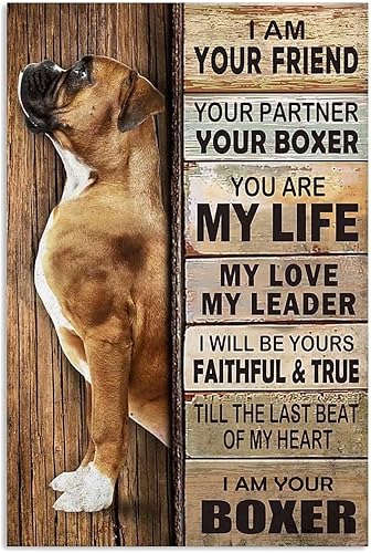 Póster de metal con texto en inglés "I Am Your Friend I Am Your Boxer", carteles de hojalata para cafetería, sala de estar, baño, cocina, hogar,