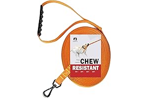 Chew Resistant Boating Dog Leash with Reflective Lines