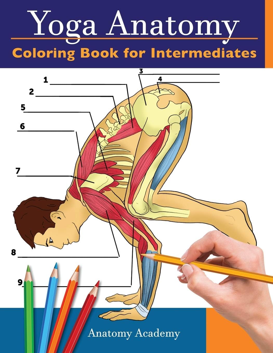 Yoga Anatomy Coloring Book for Intermediates: 50+ Incredibly Detailed Self-Test Intermediate Yoga Poses Color workbook Perfect Gift for Yoga Instructors, Teachers & Enthusiasts