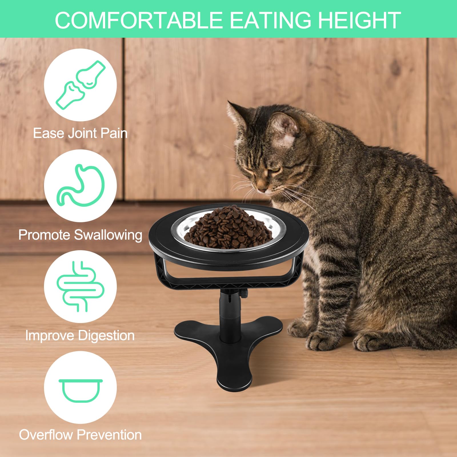 MeoZynxadril Ciotola Gatto, Ciotole per Gatti Rialzate, Inclinata di 15° Ciotola Cane, Antiscivolo Ciotole Gatto, Rialzo Ciotole Cane, per Animale Domestico, Cuccioli, Cani di Piccola Taglia