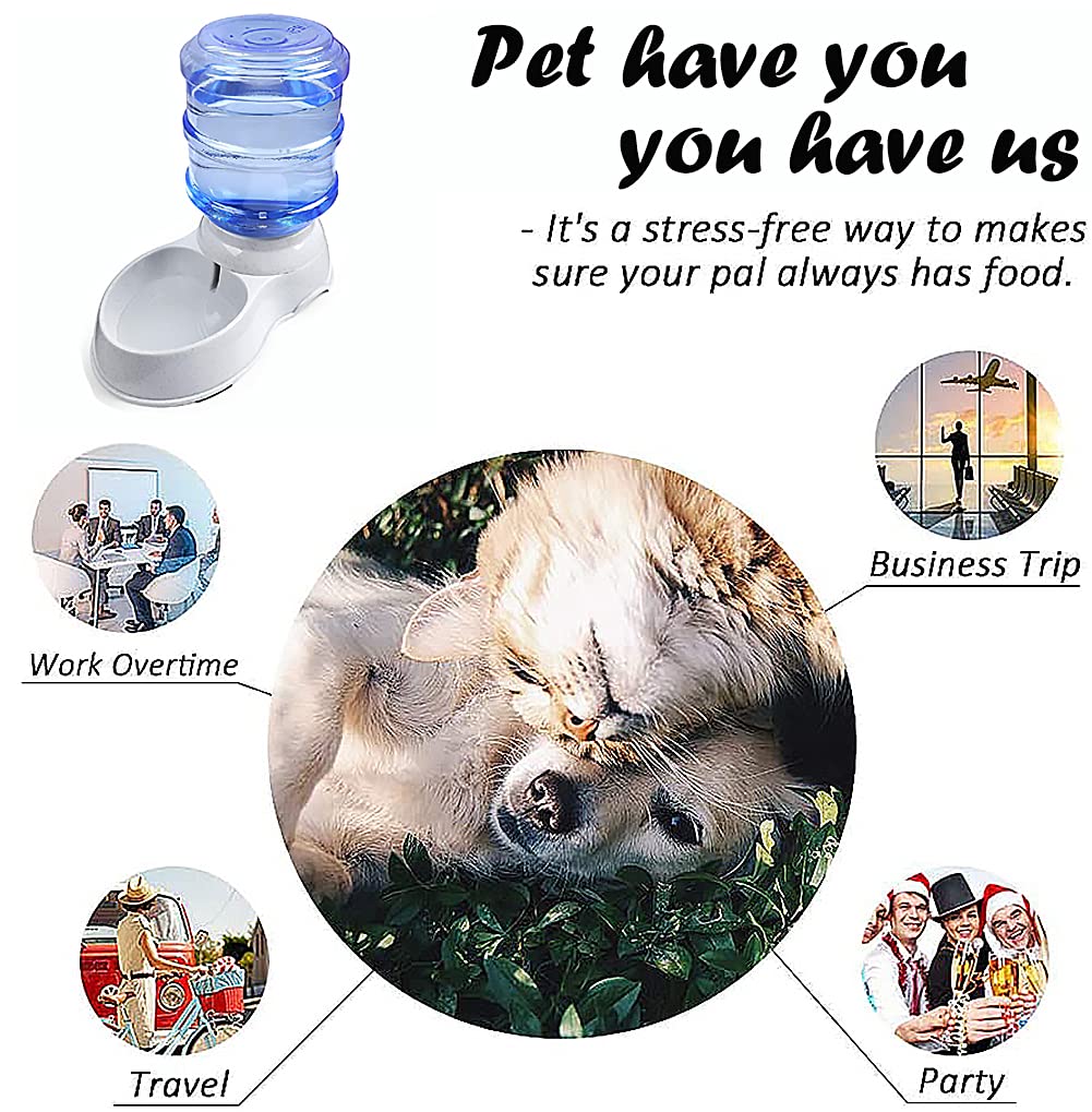 Distributore automatico di acqua per animali domestici, 11 l, grande stazione di erogazione dell'acqua per cani, fontana autoerogante per piccoli cuccioli e gatti e cani