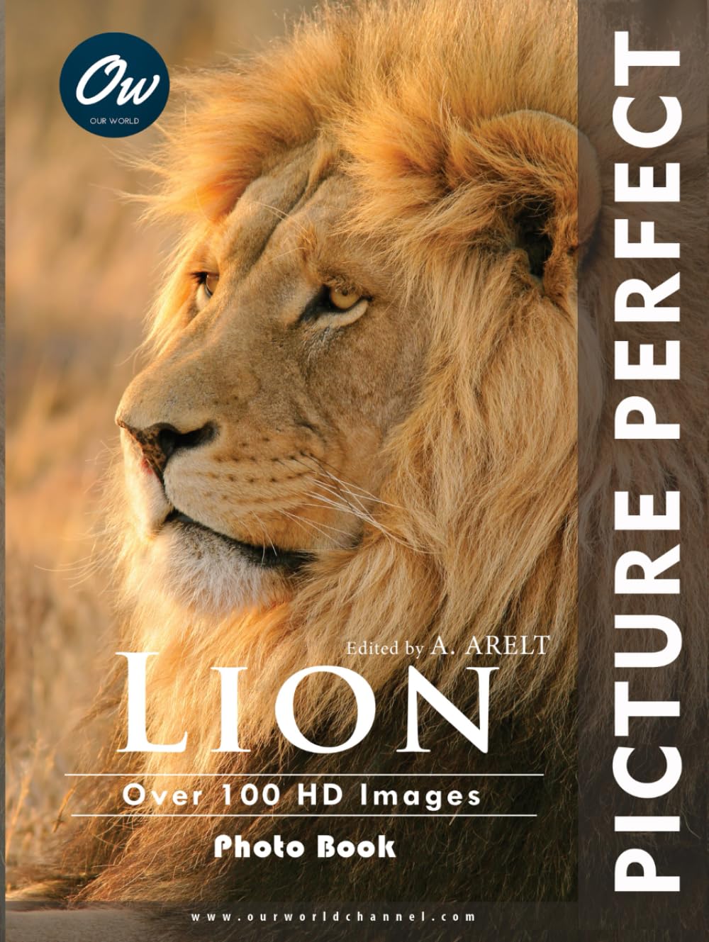Lion: Picture Perfect Photo Book