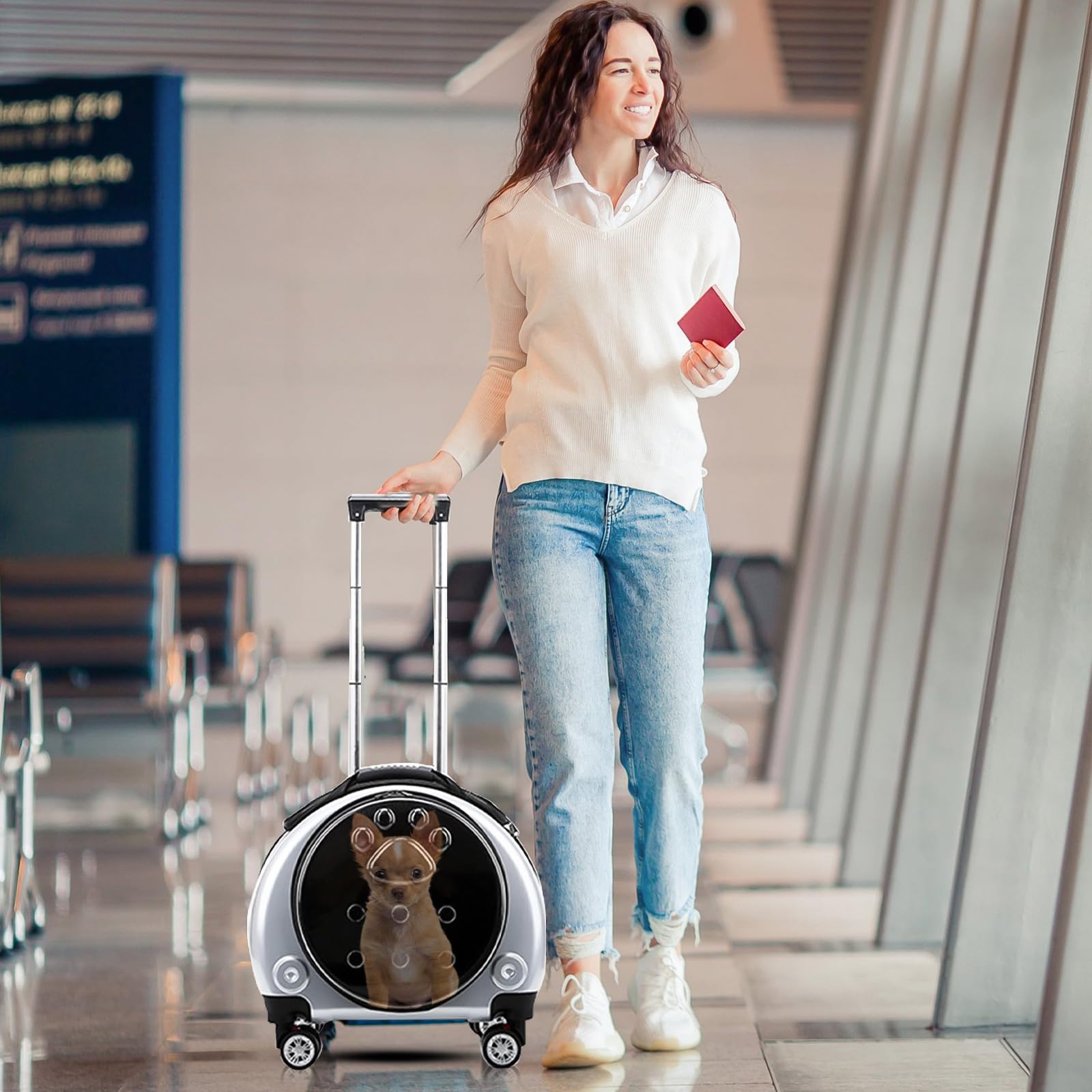 PETCUTE Zaino Trolley per Cani Gatti,Buona Ventilazione,Zaino per Gatti con Tappetino Rimovibile,Comoda Maniglia,Pieghevole Trasportino Gatto con Ruote per Cani Piccoli Gatti Medi Fino 7.5 KG