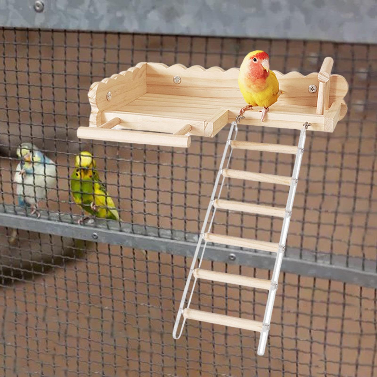 Baoblaze Vogelsitzplattform mit Leiter, Vogelkletterleiter aus Holz, Vogelkäfigständer, Spielzeug, Papageienständer für Wellensittiche, Sittiche,