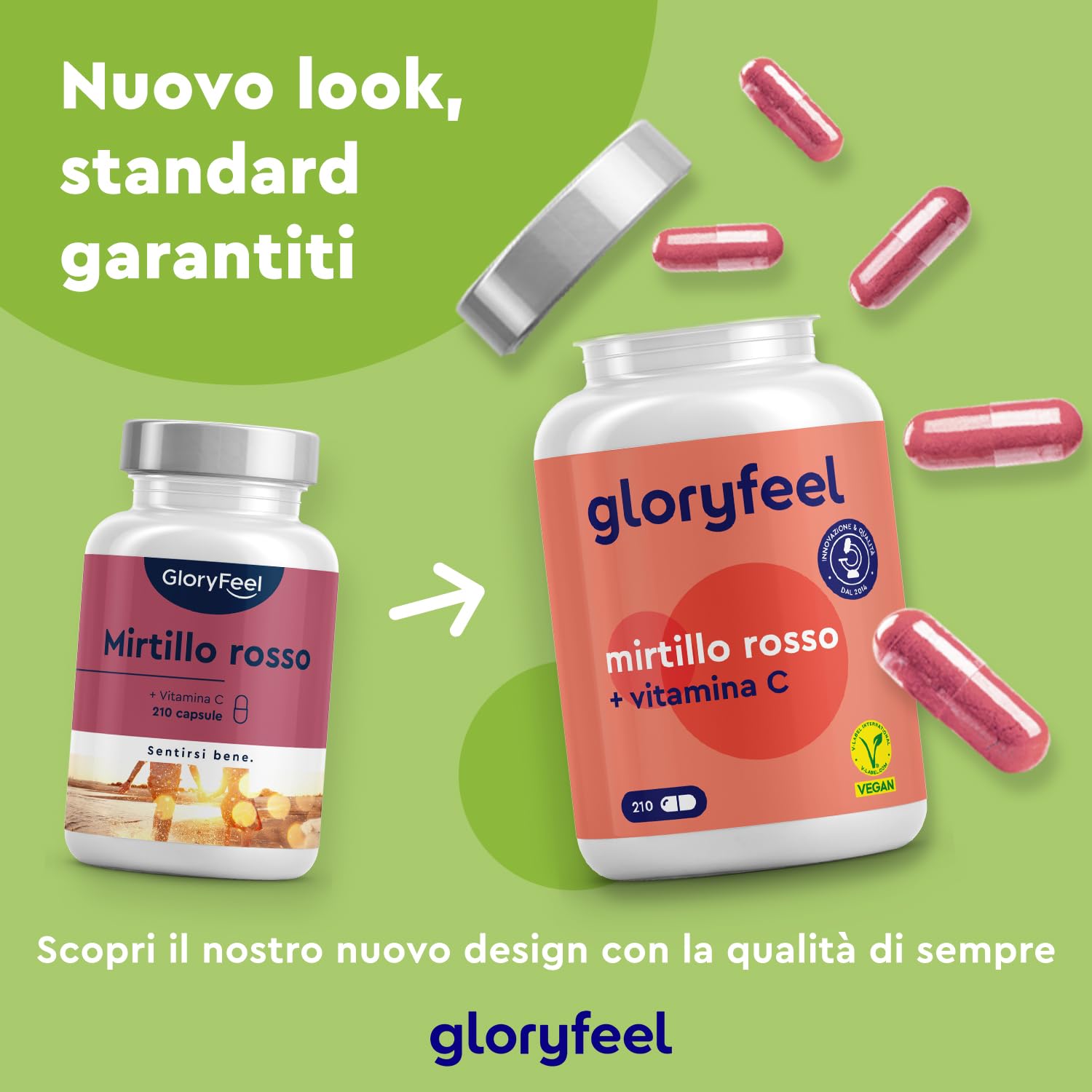 Cranberry Capsule, per il Benessere delle Vie Urinarie, Scorta 7 Mesi, 210 Cranberry Capsule con Estratto di Mirtillo Rosso + Vitamina C, Integratore ad Alto Dosaggio, Vegan