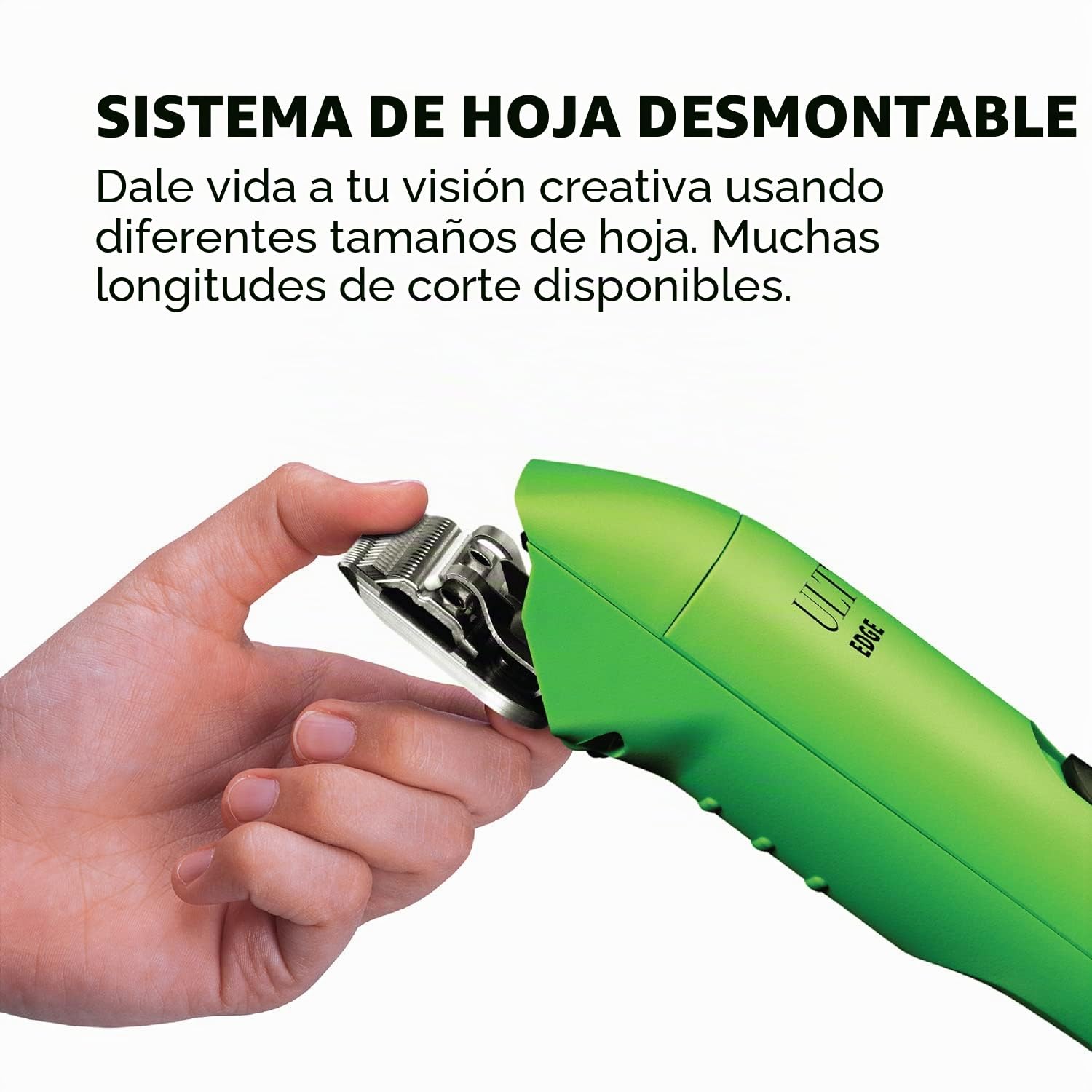Andis 24715 UltraEdge Super 2-Speed - Cortadora de cuchillas desmontables de 2 velocidades, cuidado profesional de animales/perros, verde primavera, AGC2