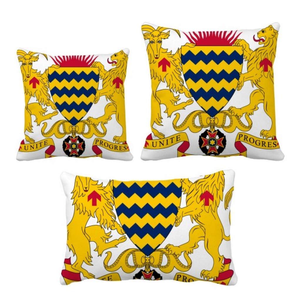 Coussin Tchad national emblème pour canapé et décoration