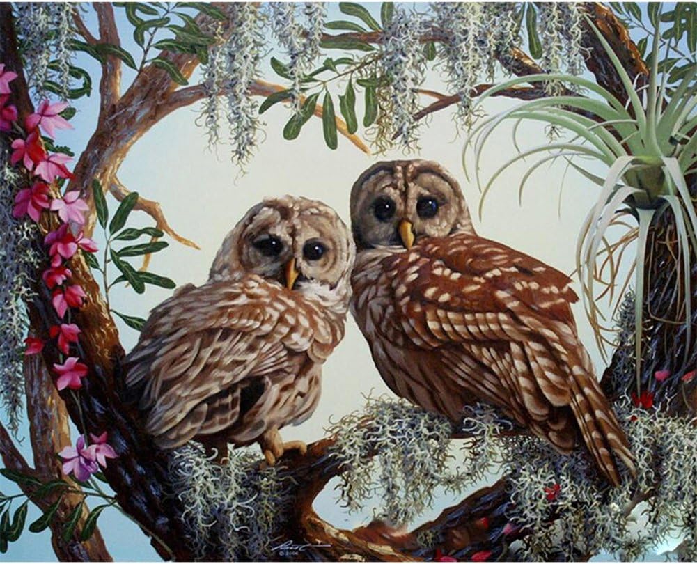 DIY Oil Painting Paint by Numbers Kit with Brushes Paint for Adults Beginner Hand Paintwork Owl 16x20 inch(No Framed) (No Framed, owl)