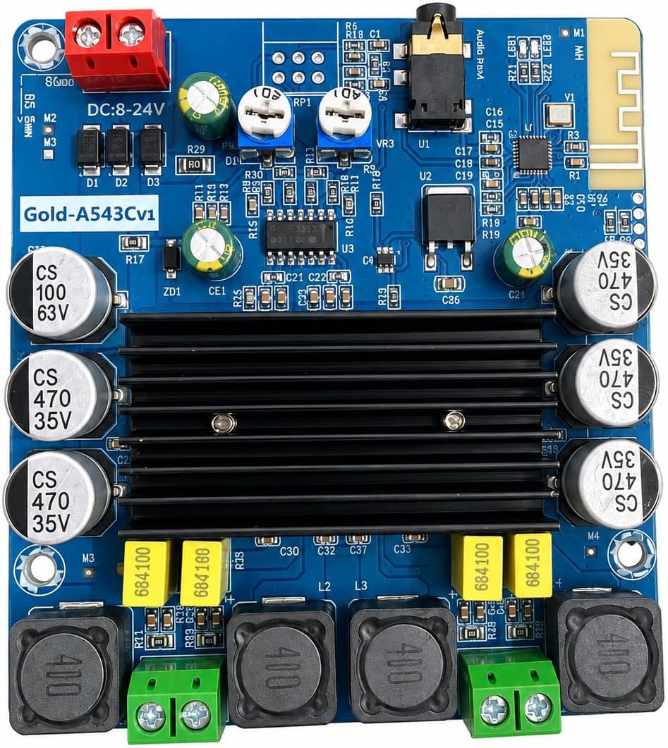 DHRUVPRO Gold-a543cvr Class D Amplifier Board TPA3116D2 Dual Channal 100W And Bluetooth 5.0 Power DC 12-24Vy DC 12-24v Powered
