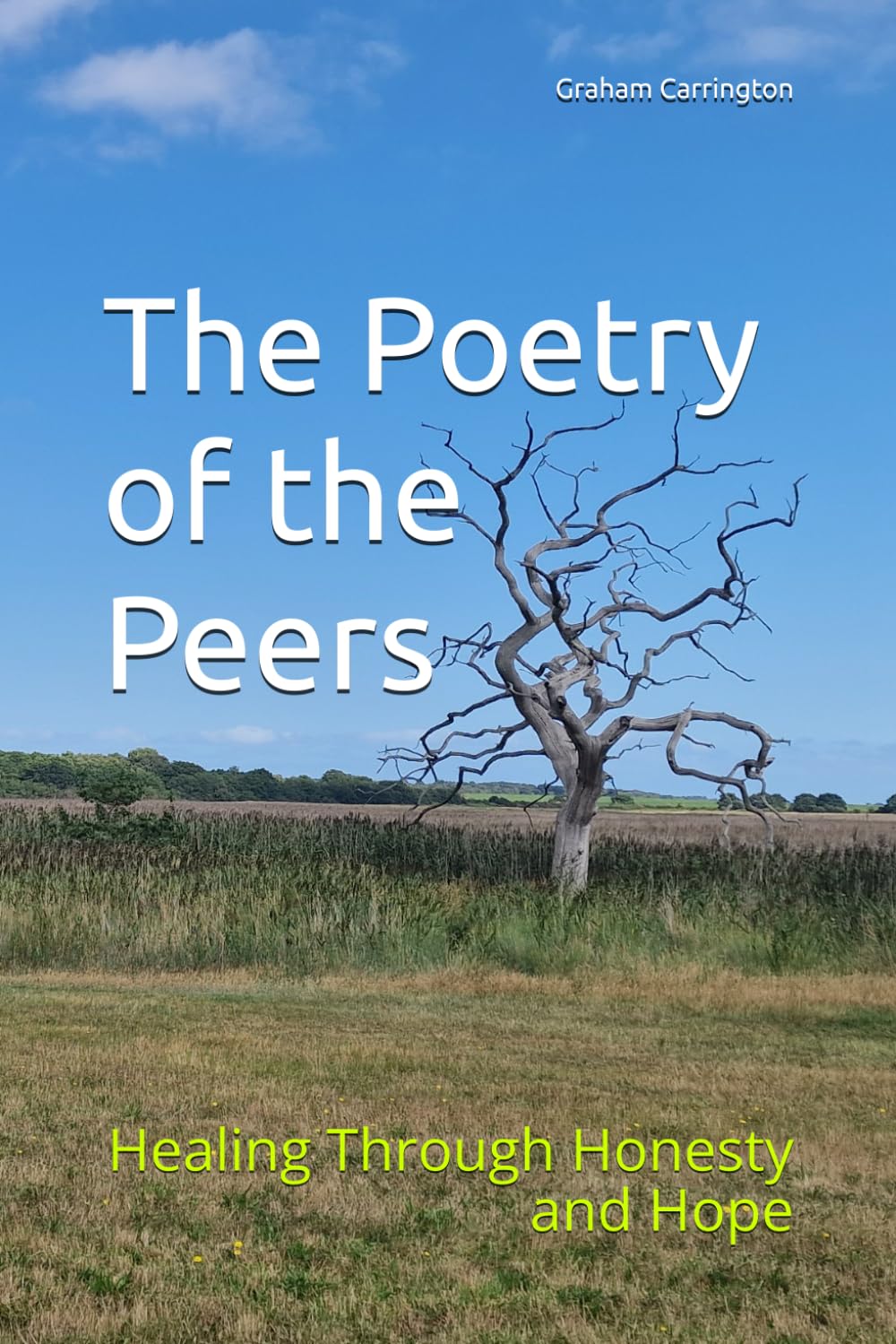 The Poetry of the Peers: Healing Through Honesty and Hope