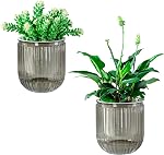 Pots auto-abreuvants pour pots de fleurs intérieurs, 4.3 1 cm 2 Pack Planters Pots de plantes à l'intérieur avec drainage pour les plantes domestiques, sucentes, violettes africaines et cactus