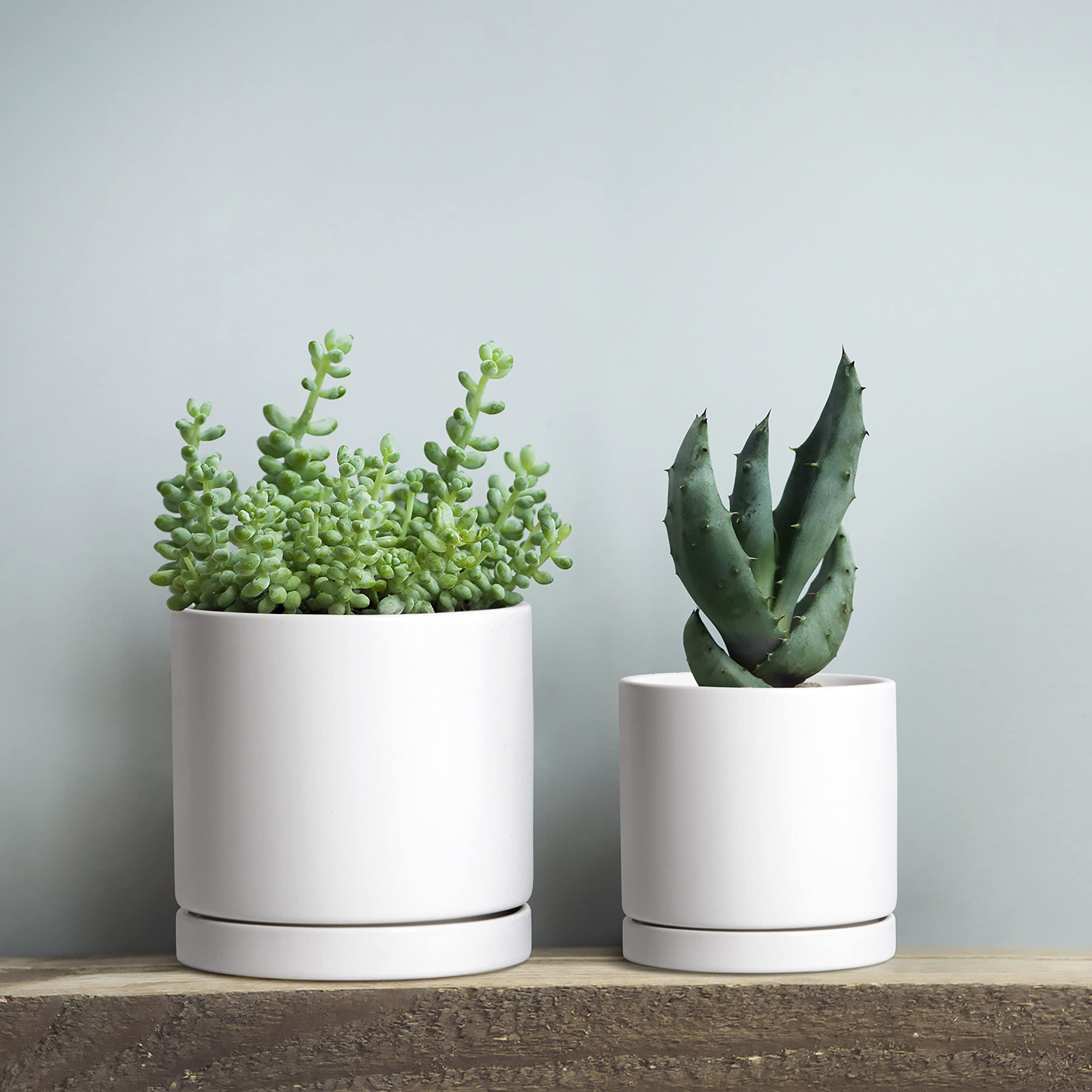 Fioriera Autoirrigante D'vine Dev In Terracotta E Vetro – 26 Cm, Bianca, Per Piante Da Interno - 2