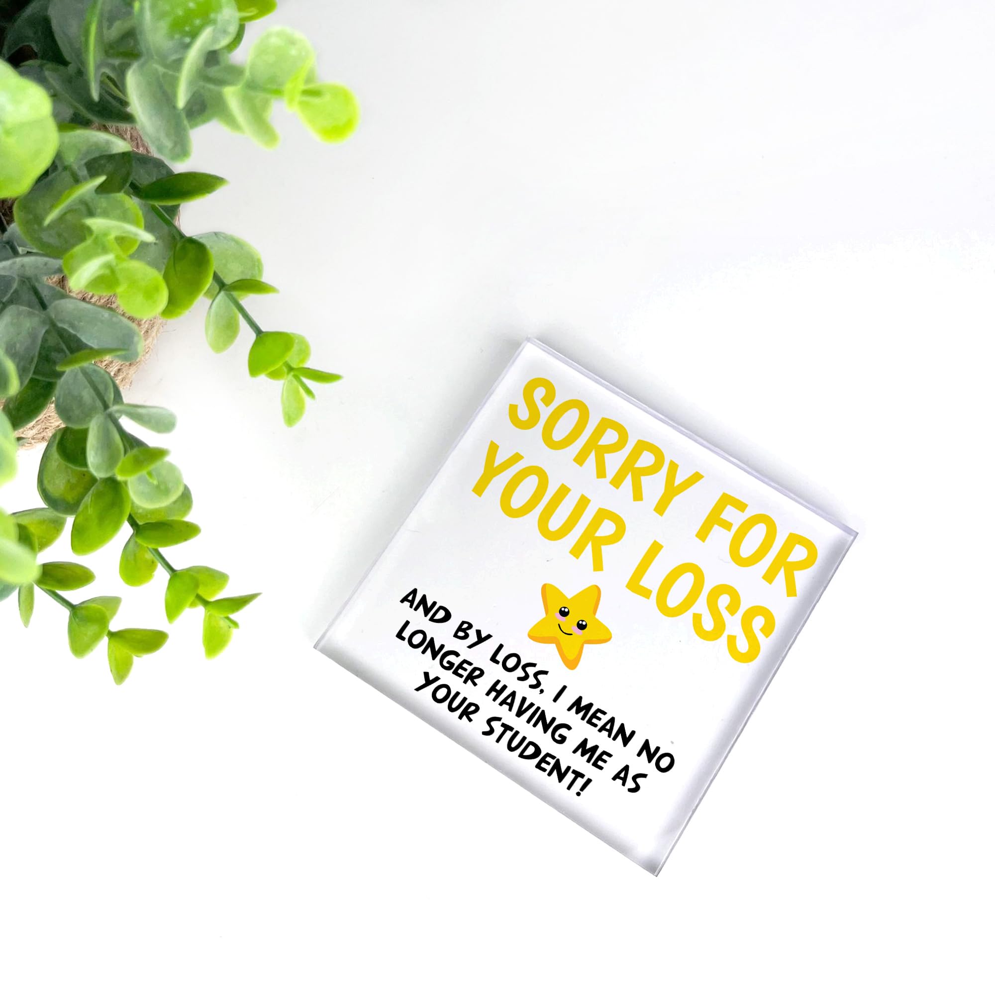 View 6