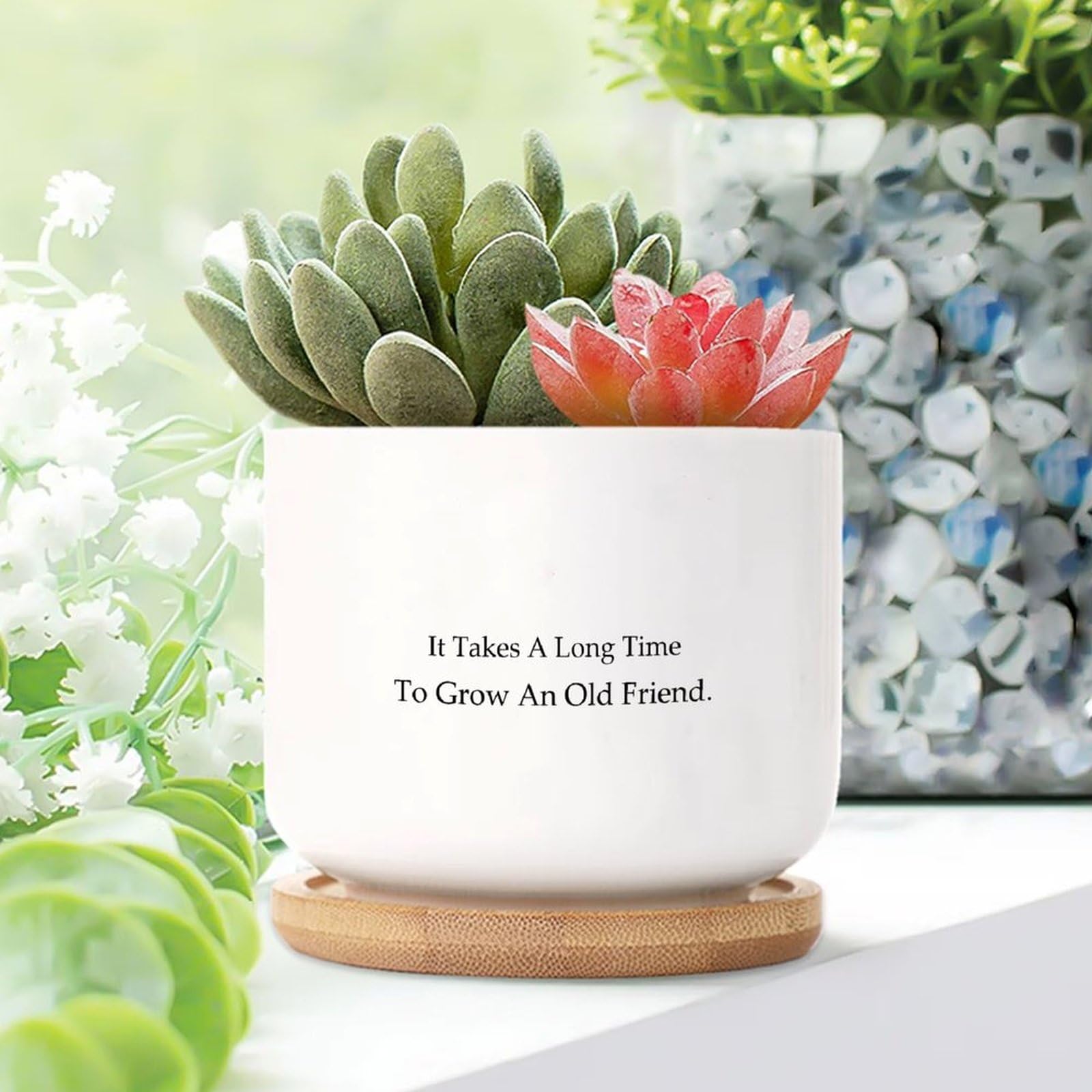 Yelolyio It Takes A Long Time to Grow An Old Friends Planters Ceramic Christian Scripture Round Flower Pot With Drainage Holes And Bamboo Tray Pot For Home Office Desk Garden — image 1