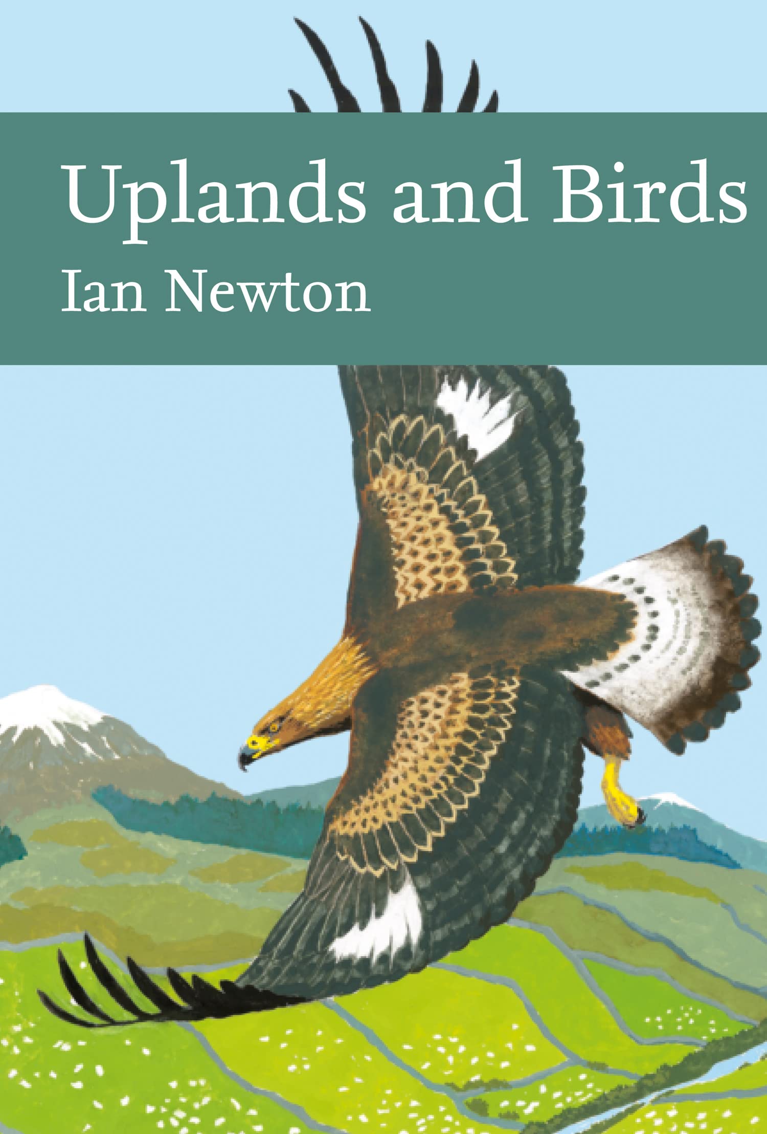Uplands and Birds: A Natural History of British Wildlife and Ecosystems: Book 142 (Collins New Naturalist Library)