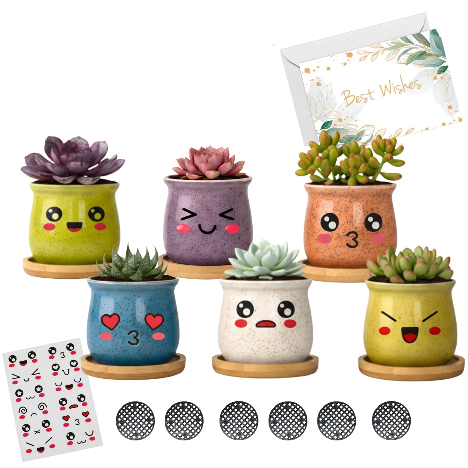 6 Pack Indoor Plant Pots with DIY Smiley Face Stickers Ceramic Planter