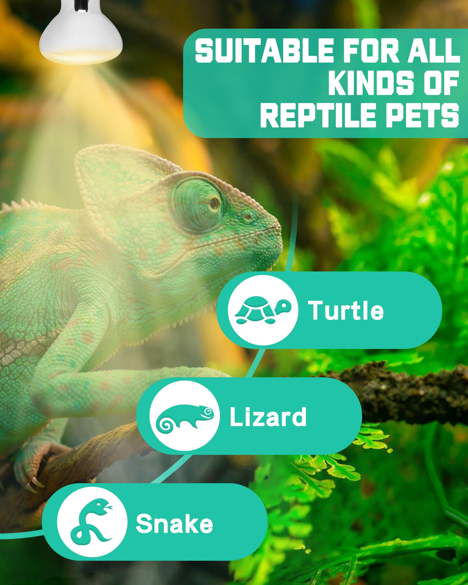 LUCKY HERP Reptile Heat Lamp Bulb - Image 3