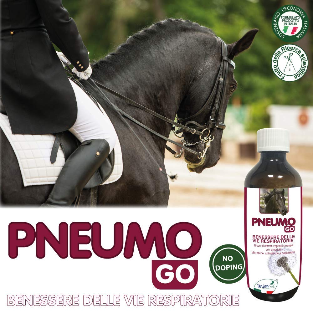 Union Bio® Pneumo Go 200 ML - Drenante Fluidificante Muco Per Cavallo, Mangime Completare Naturale Ricco Di Estratti Vegetali Sinergici Con Proprietà Naturali Balsamiche, Antisettiche E Diuretiche