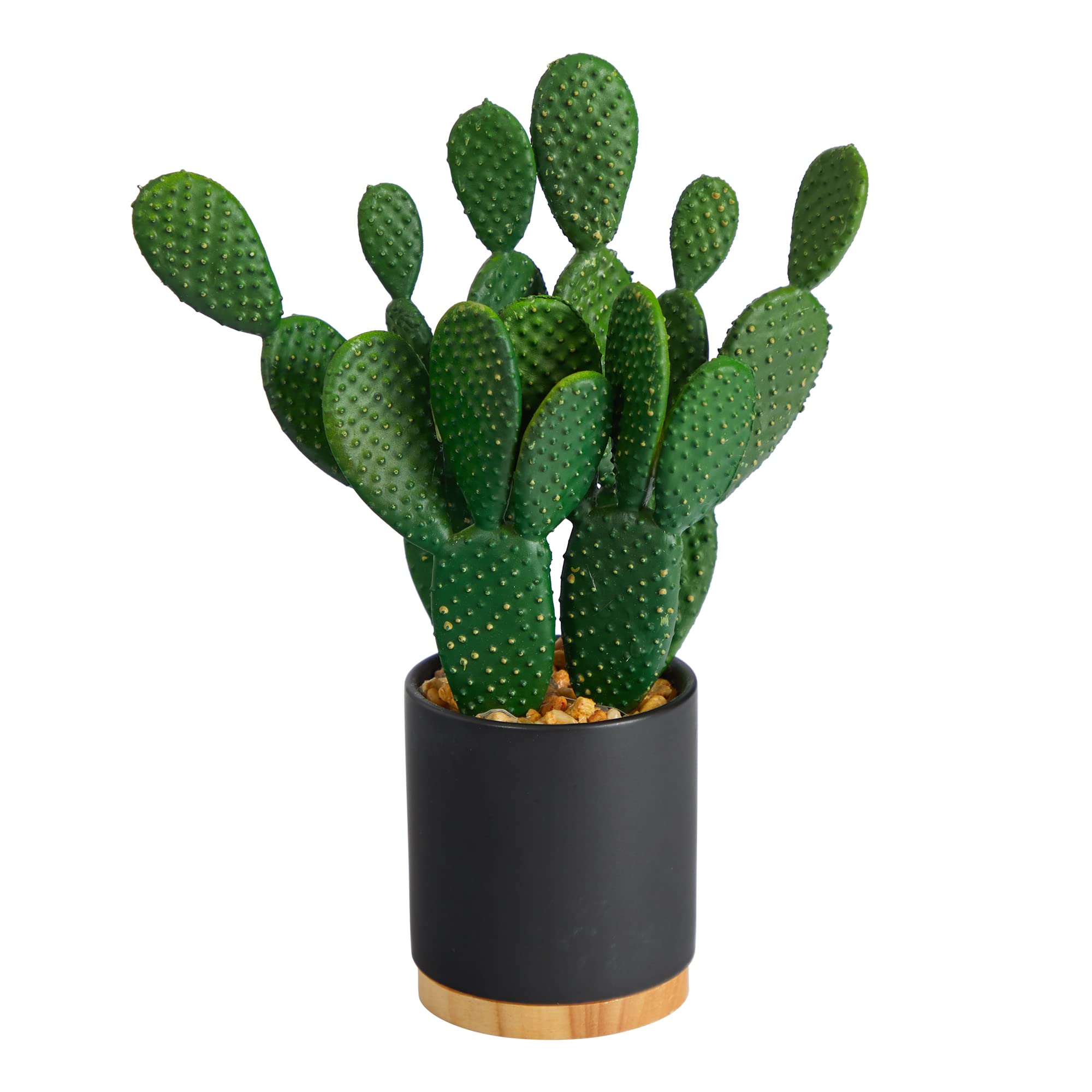 Cactus artificiel sans entretien plante verte déco pour maison