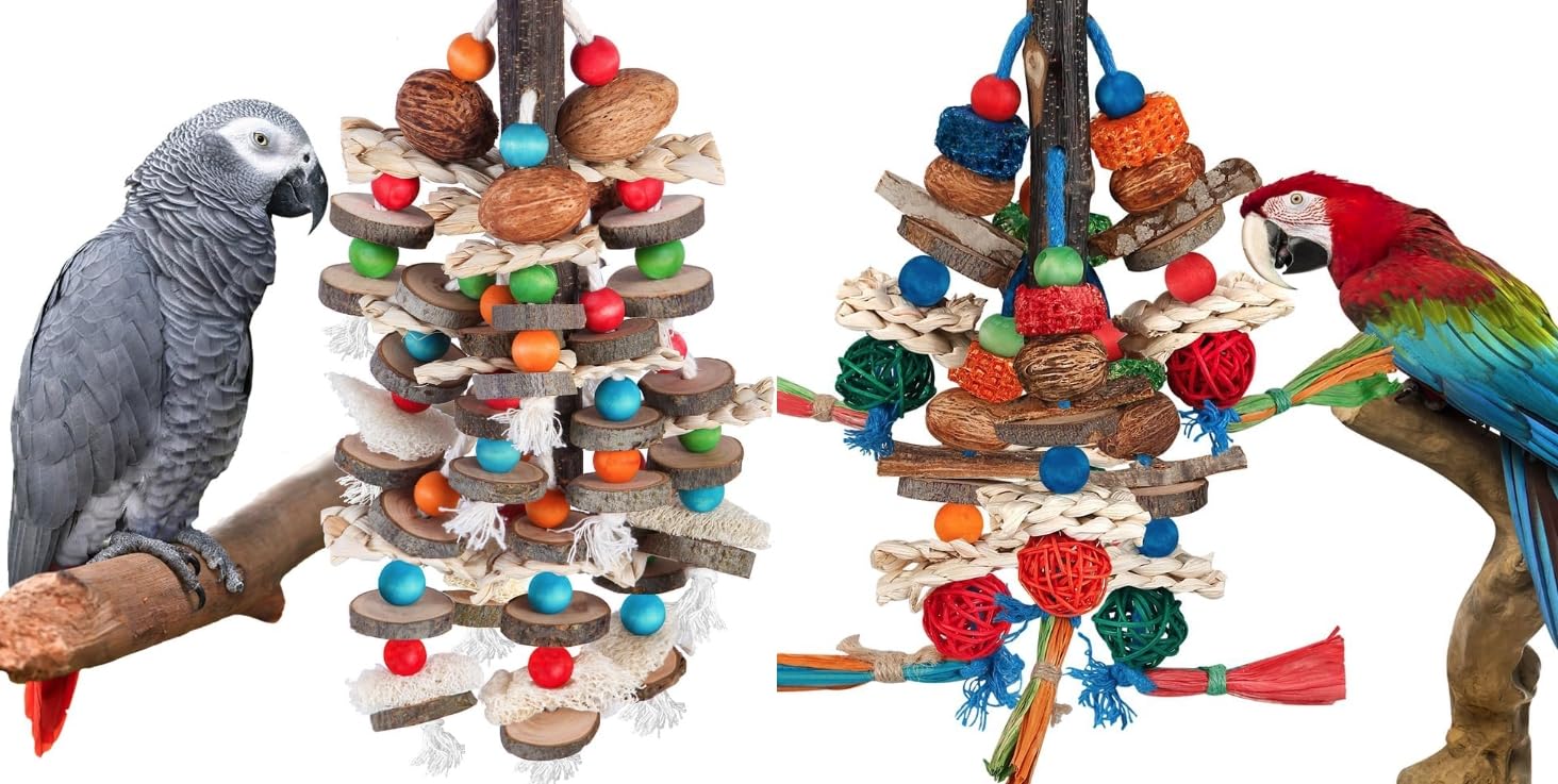 BBjinronjy Bird Toys - Natural Nuts Corn Loofah Wooden Bird Cage Toys for African Grey, Macaws, Conure, Cockatoos, Cockatiel, Amazon Parrots and Other Medium and Small Birds