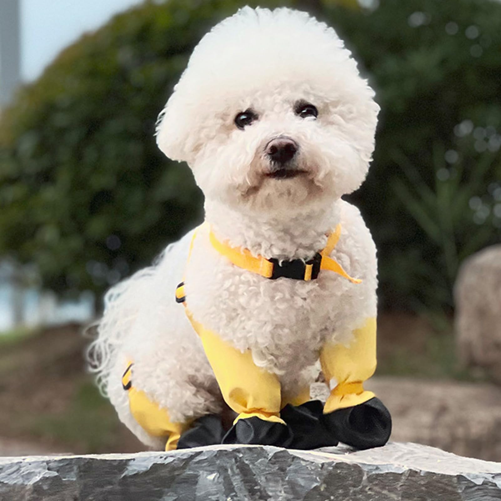 Dog Suspender Boots, Polyester Water Proof Dog Boots, Abrasion Proof, Anti Slip Dog Boots for Winter Snow Rain Hiking, All Season Usability, Waterproofing Protections (M)