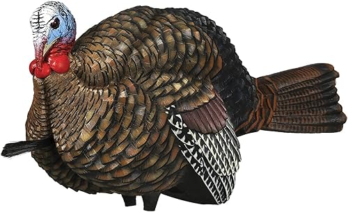 Avian-X Señuelo de pavo de Jake de medio puntal LCD Señuelo de caza plegable realista duradero con bolsa de transporte y estaca, AVX8012