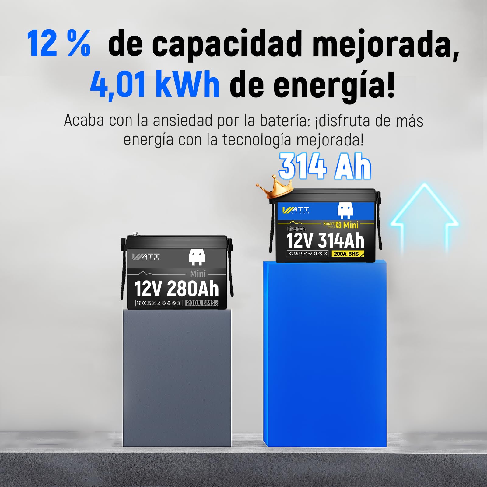 Bateria Lifepo4 12V 314Ah, 12V Batería de Litio 300Ah con Bluetooth | protección baja temperatura BMS de 200 A, 4,01 kWh, batería litio para Caravanas, Barcos y Placas Solares