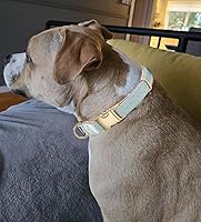 Vista 57 de Collar de Algodón Suave para Perro con Hebilla de Metal Ajustable de Servicio Pesado Cómodo Collares de Pana para Perros Pequeños, Medianos