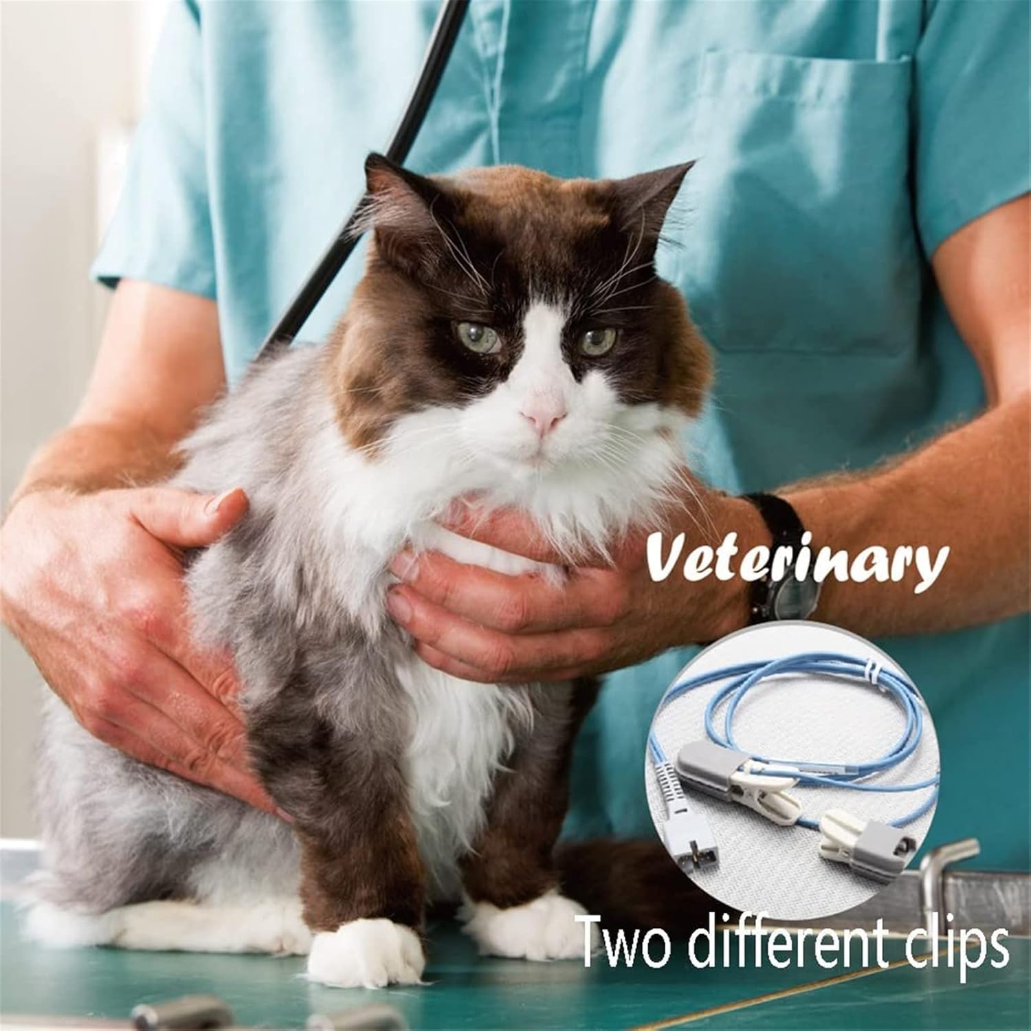 Pulsossimetro Veterinario Portatile, Pulsossimetro Veterinario Per Cani Gatti, Monitor Della Frequenza Cardiaca SPO2, Sensore SPO2 Orecchio/lingua, Per Ospedale Familiare E Per Animali Domestici