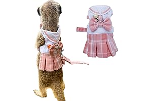 Kawaii Ferret Attire: Embracing Walks with Comfort and Style