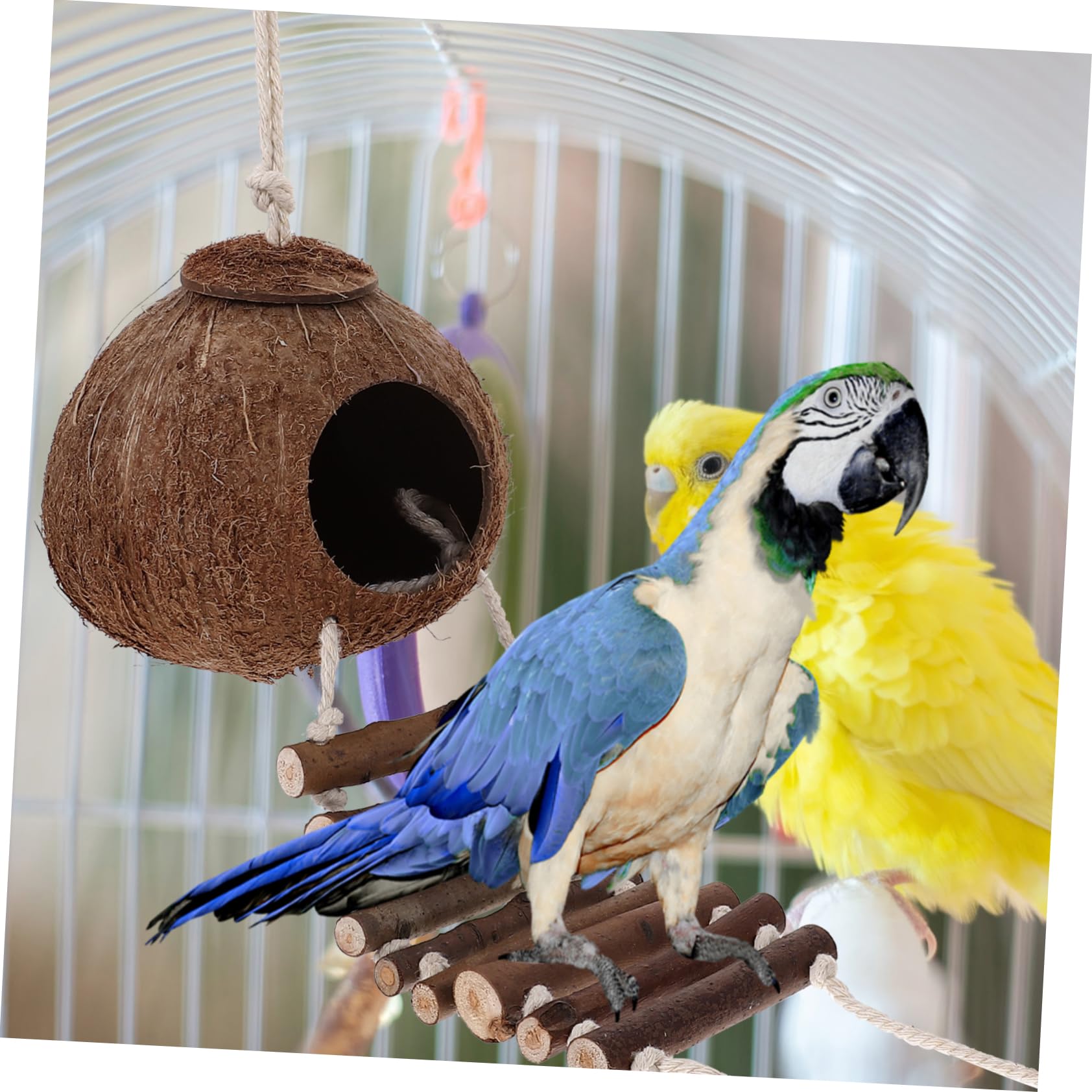 BESPORTBLE Casa para Cangrejo Ermitaño con Escalera Cueva de Madera para Reptiles Refugio Decorativo para Terrarios Adecuado para Hábitat de Cangrejos Ermitaños Suministros para Terrarios
