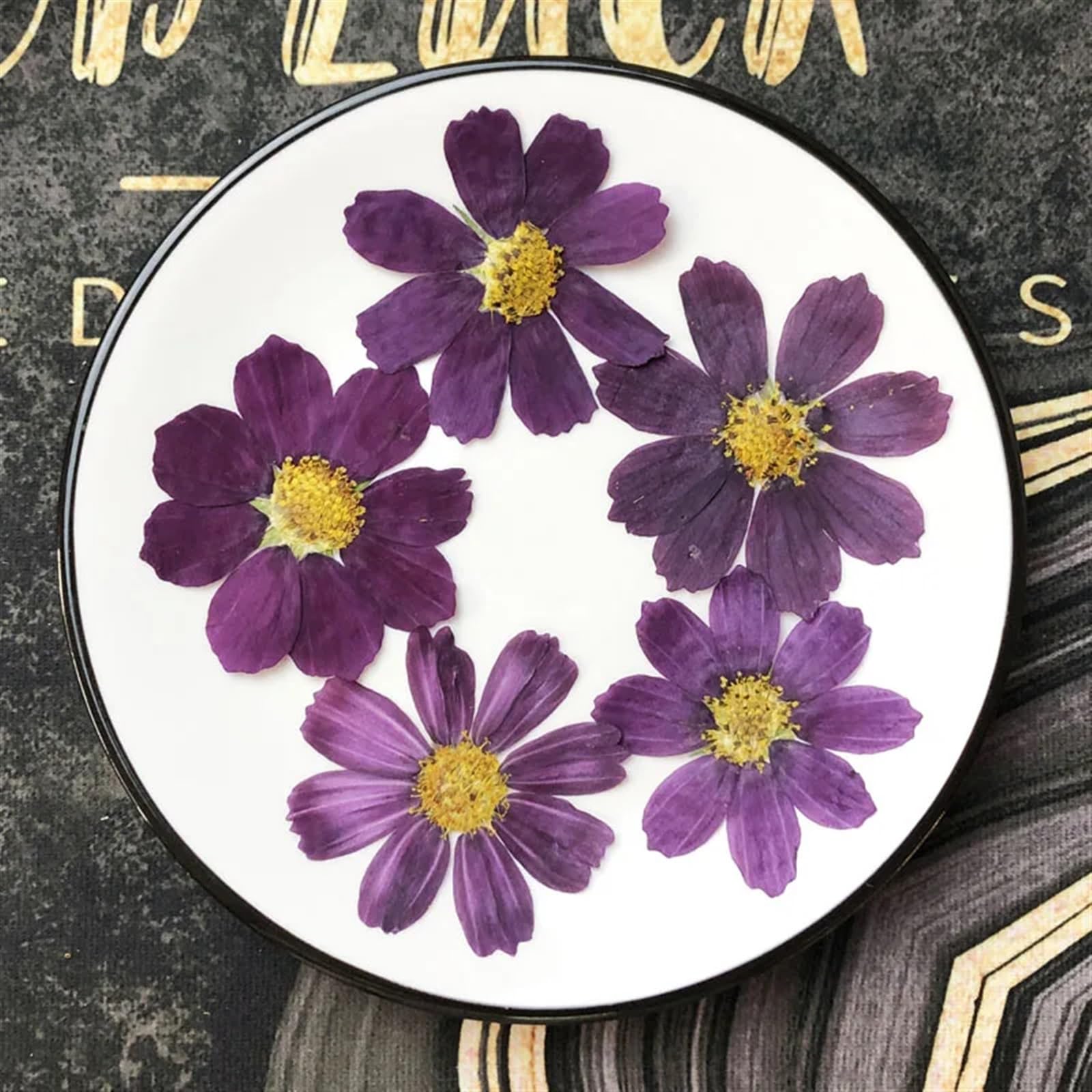 Fleurs Séchées Pressées Lot de 250 Fleurs séchées pressées 4 à 7 cm, herbier for Carte Postale, Cadre Photo, Bijoux, Marque-Page, Artisanat, Bricolage(Color-2)