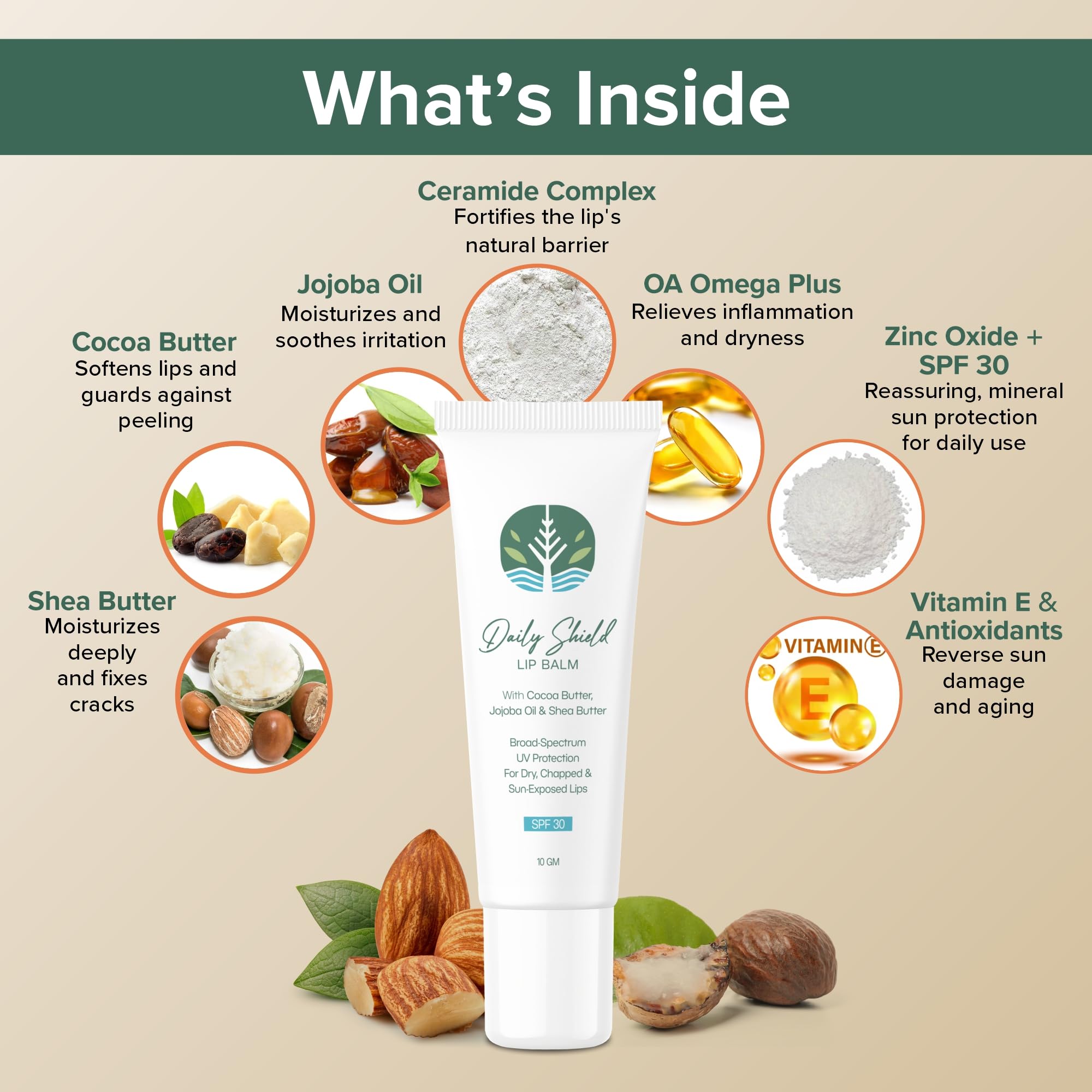 Sarva Nani-Dadi's Daily Shield Lip Care Balm, Deep Moisturizing & Healing, SPF 30 Zinc Oxide Protection, Natural Antioxidant Formula 1