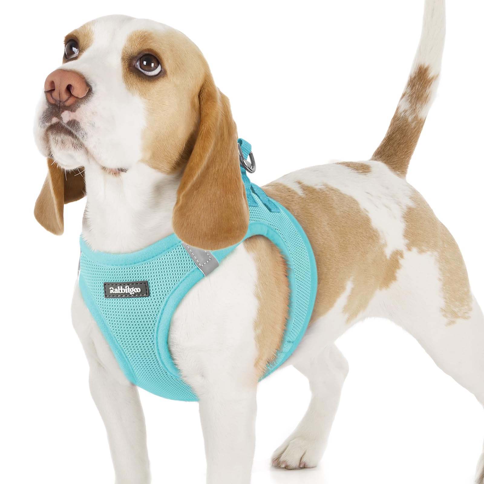 rabbitgoo Hundegeschirr kleine Hunde, Step-in Soft Mesh Hundegeschirr mit Sicherheitsverschluss, atmungsaktives und reflektierendes Welpengeschirr für kleine Hunde