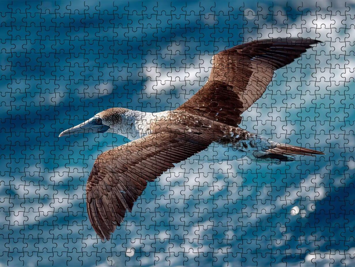 Puzzle dla dorosłych, 5000 elementów, mewe, brązowe, puzzle, wyzwania rodzinne, do samodzielnego wykonania, puzzle, gry zręcznościowe, prezent dla przyjaciół, R2KH-259