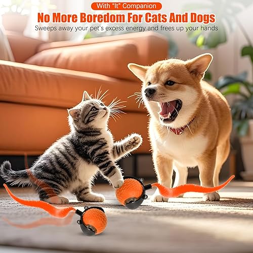 Miniatura 4 de Juguetes para gatos de interior, juguetes interactivos para gatos adultos aburridos de interior, bola rápida interactiva automática, Rollie Pet