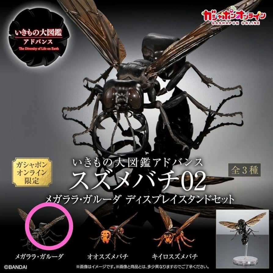 Amazon.co.jp: メガララガルーダ いきもの大図鑑アドバンス