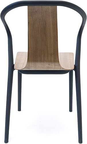 Miniatura 5 de Silla moderna de silla WM-300-Midcent-WL para café, de mediados de siglo, en nogal