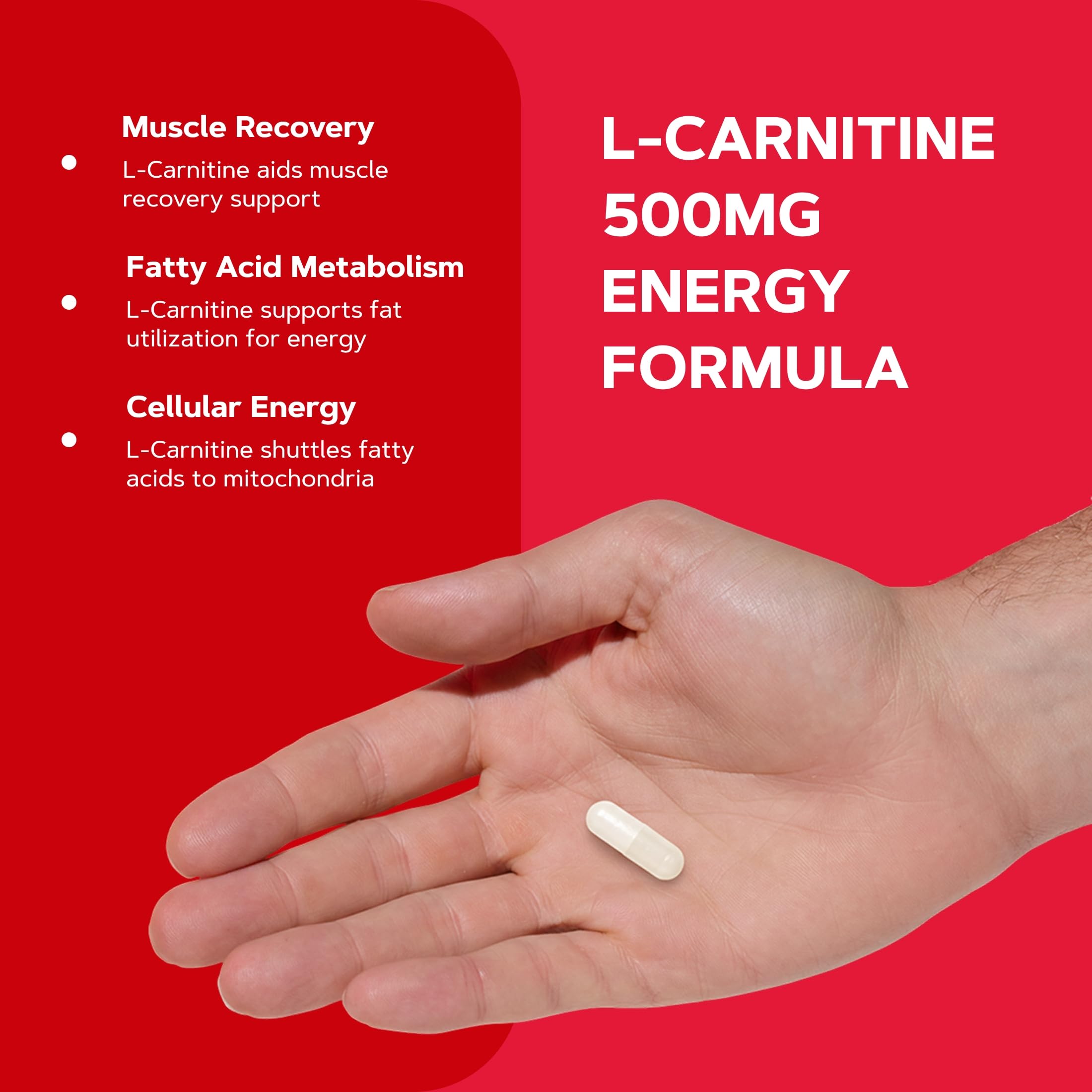 gnc l carnitine 500mg 60 caps L-Carnitine Supplement, 120 Capsules, 120-day Supply summer glasses Best Candles for Soot-Sensitive Sabores:manzana