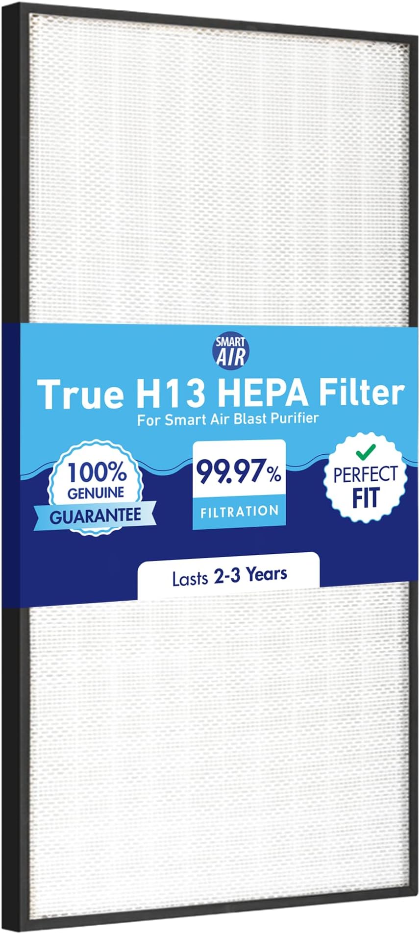 Blast HEPA Filter - Air Filter Replacement For Blast Air Purifier - Filters PM 2.5, Pollen, Pets, Dust & More - 1 Count