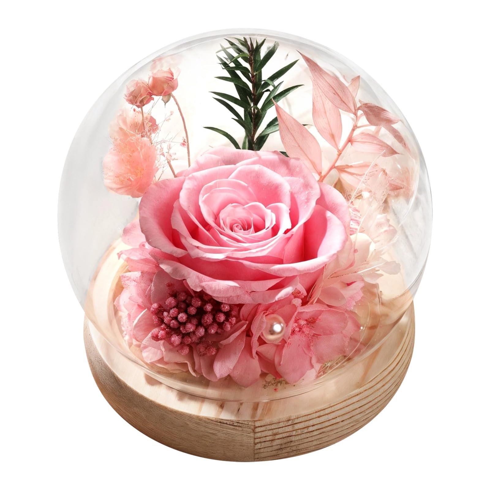 Decorazione floreale reale conservata con cupola in vetro e base in legno, rose eterne per San Valentino, Natale, compleanni e anniversari, regalo romantico, decorazione da scrivania per la casa per